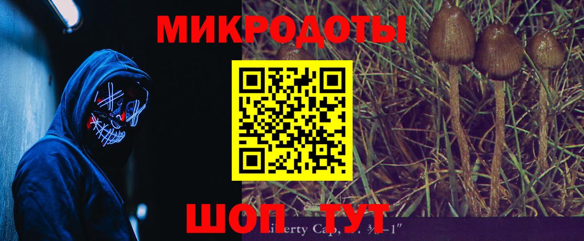 Галлюциногенные грибы Cubensis Подольск